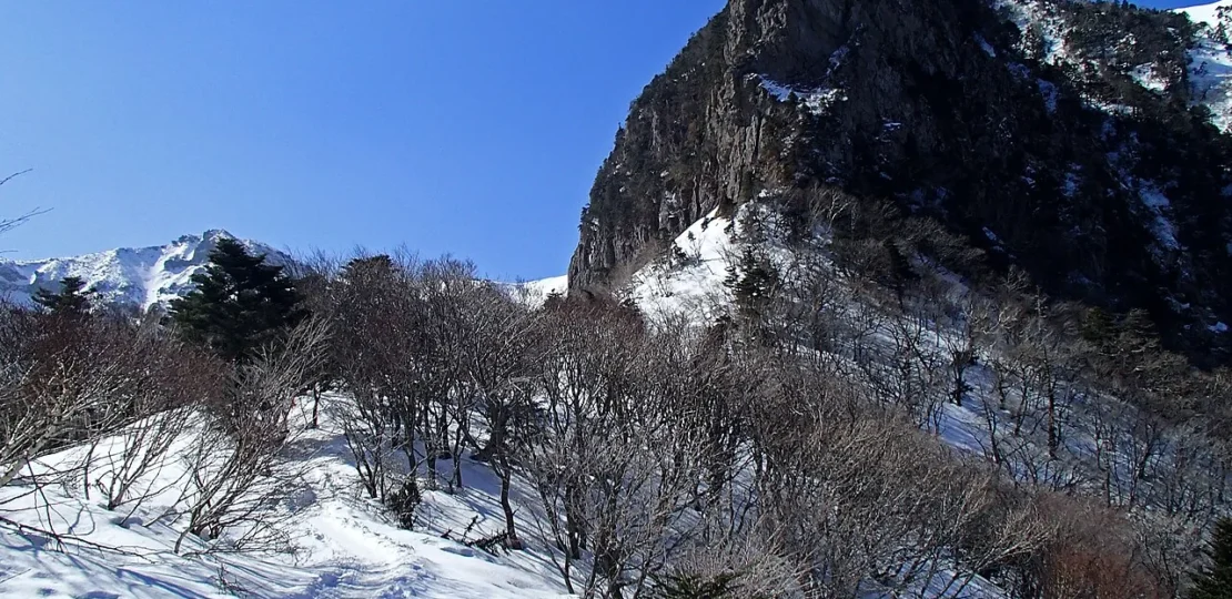 jeju-in-winter-hero