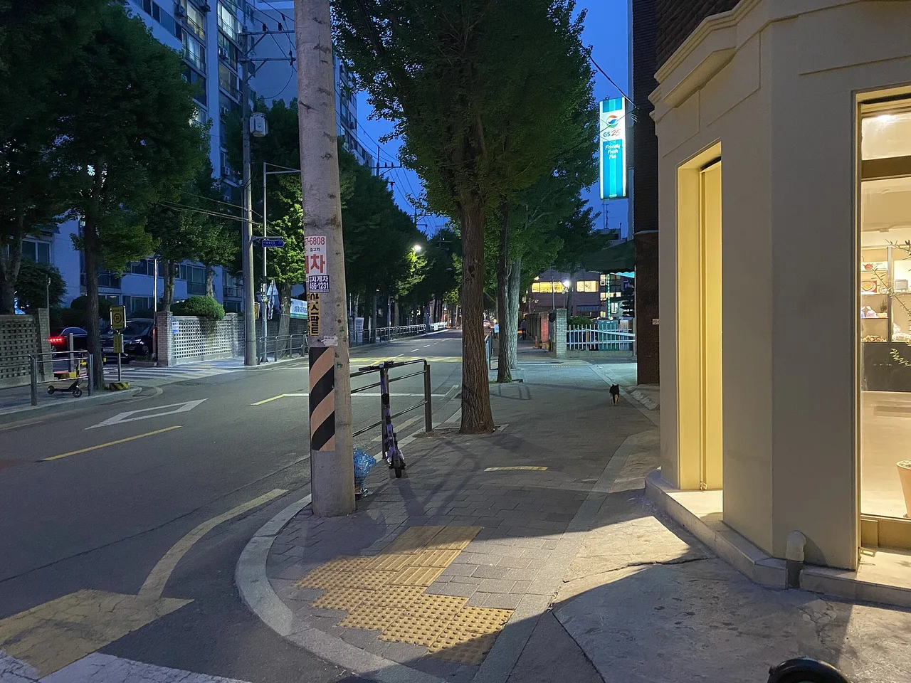 A quiet tree-lined Seongsu-dong side street at dusk with a softly lit café on the corner