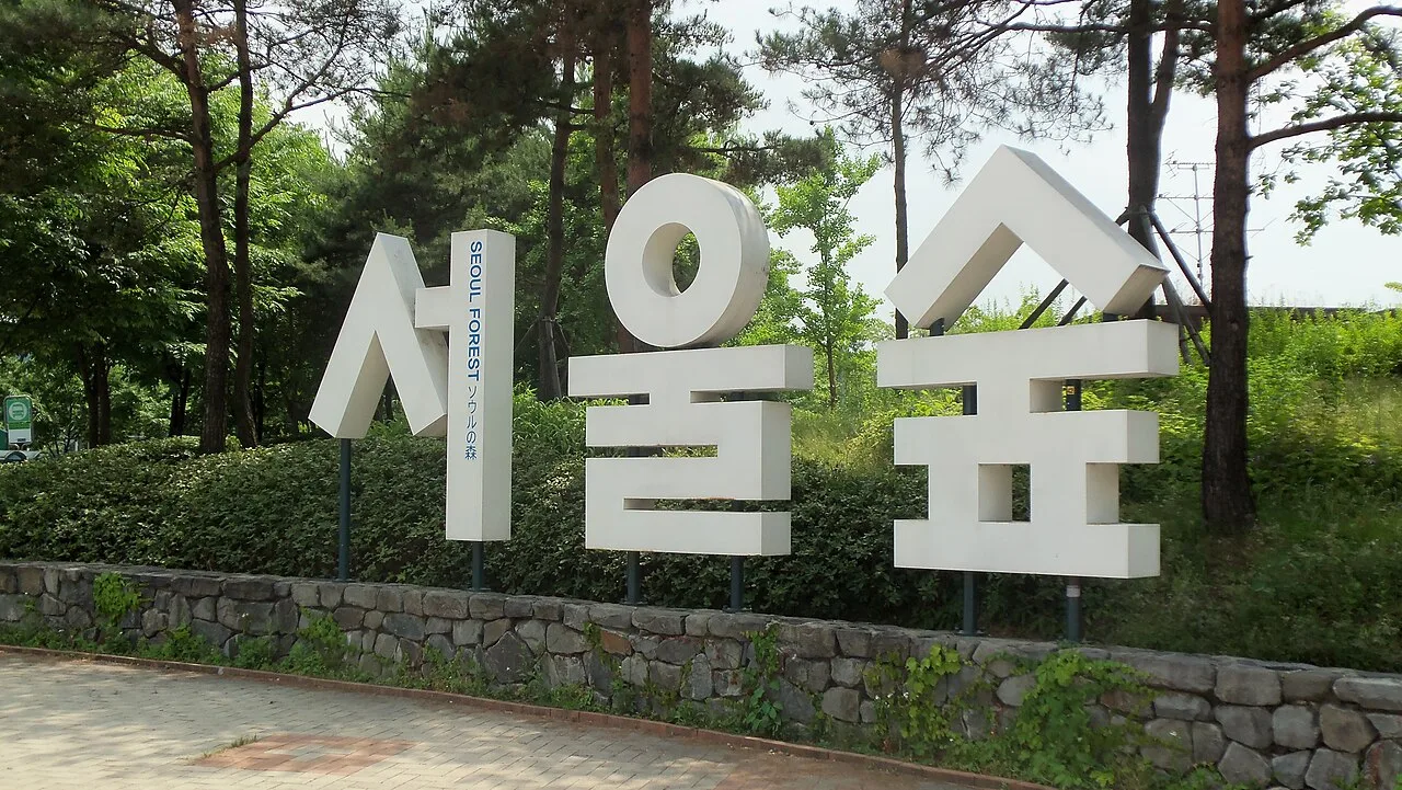 Wide green lawns and trees in Seoul Forest park next to Seongsu-dong