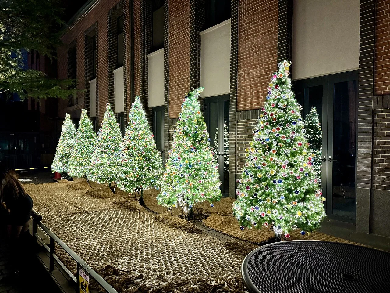 Lit Christmas trees in the courtyard of Myeongdong Cathedral at night