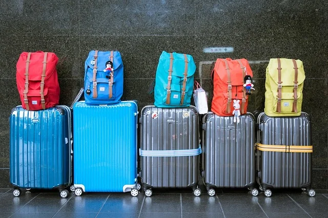 Rolling suitcases and backpacks lined up, the kind of luggage Seoul luggage storage lockers are built for