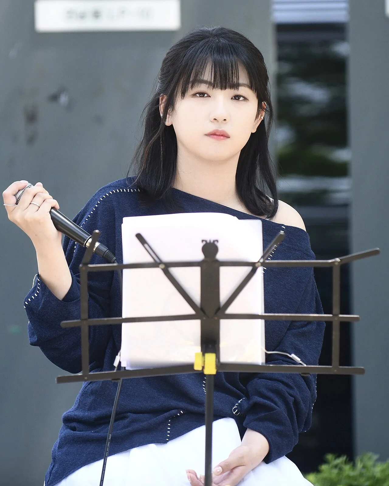 A singer performing for a crowd in the Gyeongui Line Forest Park, Yeonnam-dong