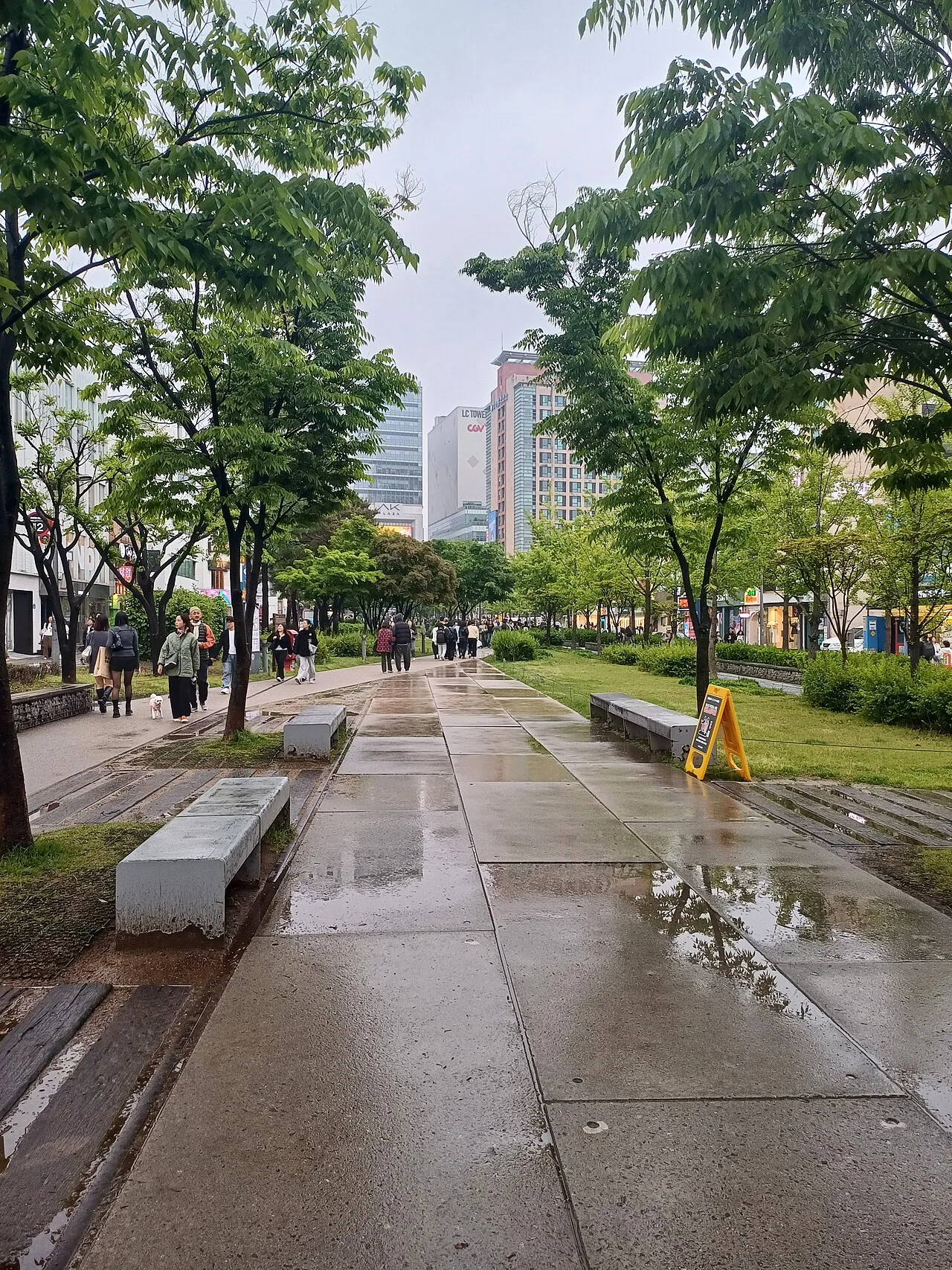 Tree-lined walking path of the Gyeongui Line Forest Park in Yeonnam-dong, Seoul
